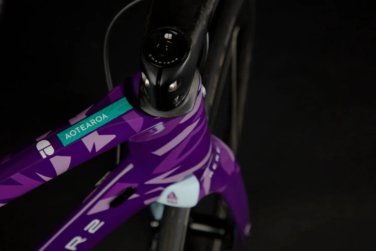 Chapter 2 RERE Aero Road Disc Brake Frameset