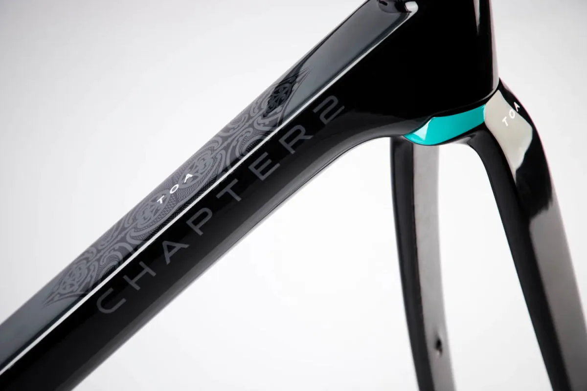 Chapter 2 TOA Race Disc Brake Frameset