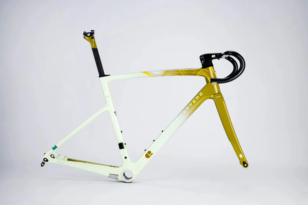 Chapter 2 TOA Race Disc Brake Frameset