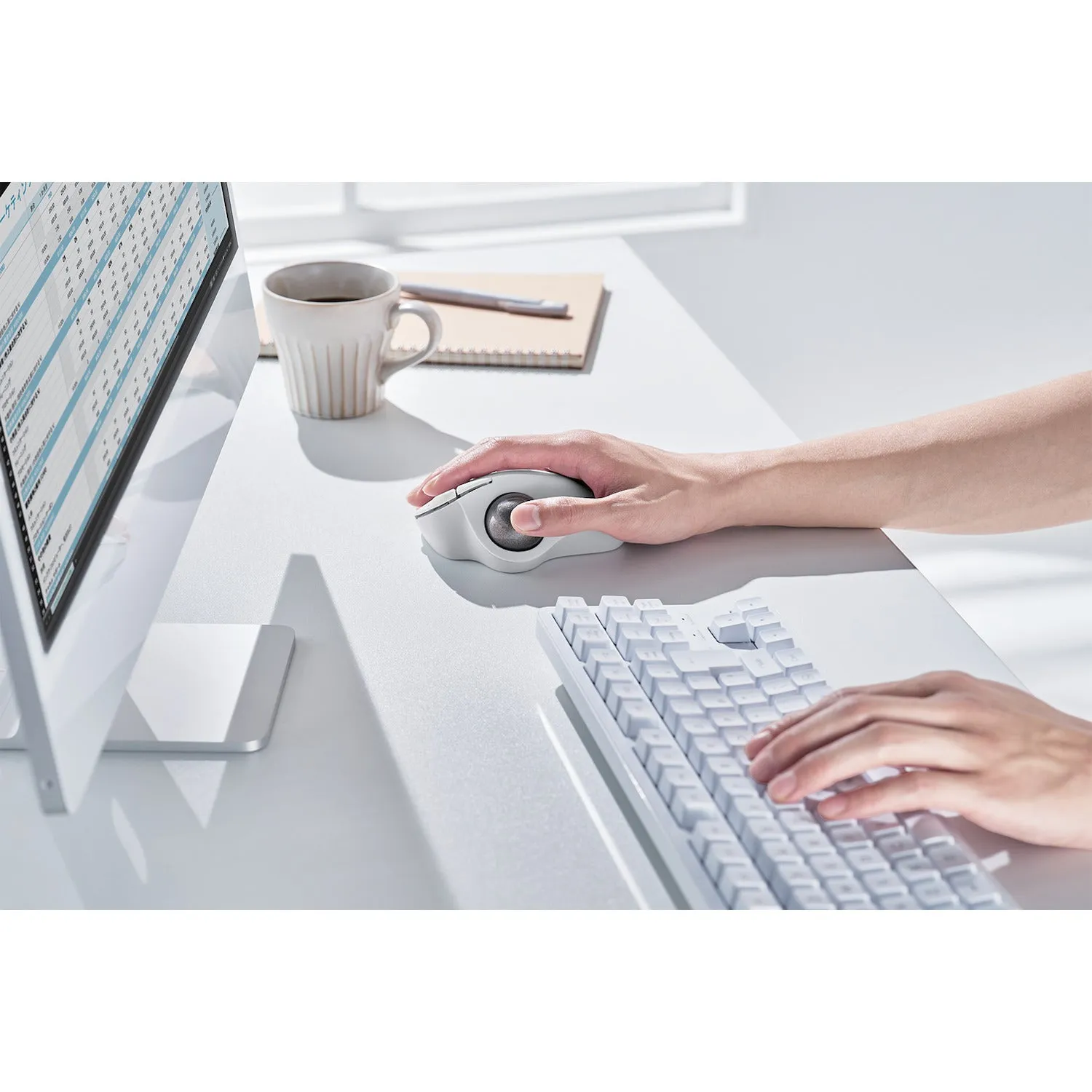 IST Ergonomic Trackball Wireless