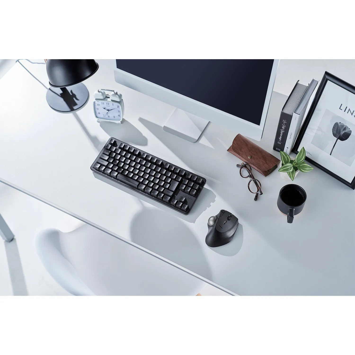 IST Ergonomic Trackball Wireless